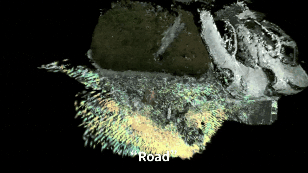 LangSplat grass query result